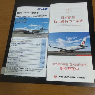 JAL+ANA株主優待券セット(その他)