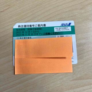 エーエヌエー(ゼンニッポンクウユ)(ANA(全日本空輸))の株主優待　ANA 11月まで(その他)