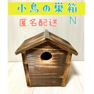 小鳥の巣箱N  野鳥  手作り　杉材　バードウオッチング(鳥)