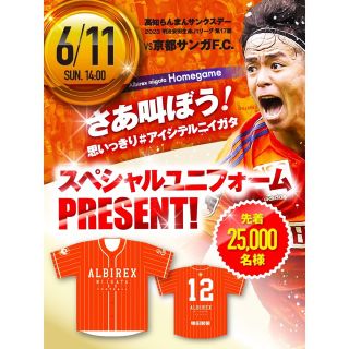 アルビレックス新潟　スペシャル　ベースボール　ユニフォーム　京都サンガFC(応援グッズ)