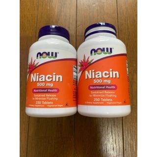 【きむ様専用】Niacin  500mg 2本セット(その他)