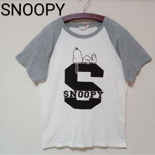 スヌーピー(SNOOPY)のSNOOPYスヌーピーリンガーTシャツ半袖ホワイトグレーPeanutサイズM(Tシャツ/カットソー(半袖/袖なし))