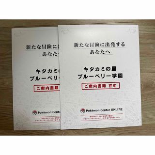 ポケモン(ポケモン)のポケットモンスター スカーレット バイオレット ゼロの秘宝 2個セット(家庭用ゲームソフト)