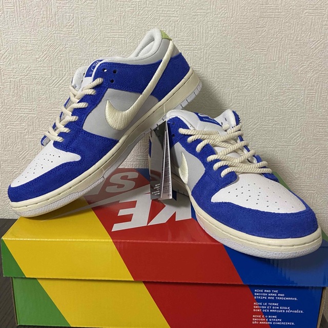 Fly Streetwear × Nike SB Dunk  27センチ