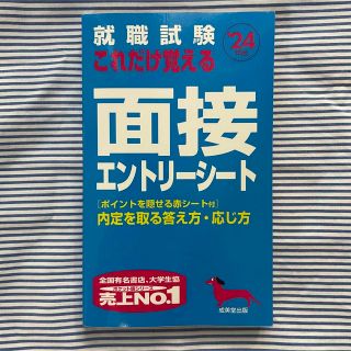 就職試験これだけ覚える面接・エントリーシート ’２４年版(ビジネス/経済)