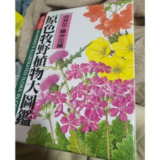 原色牧野植物大図鑑 合弁花・離弁花編 改訂版(絵本/児童書)