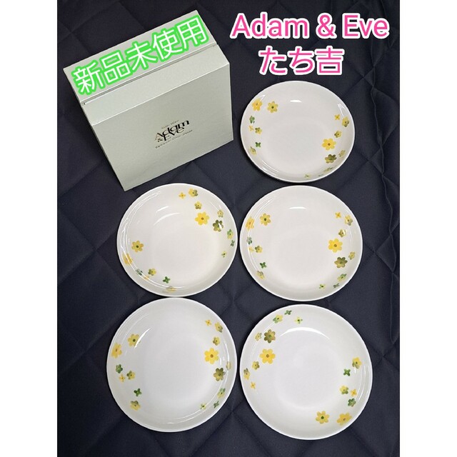 ✨新品未使用✨Adam&Eve たち吉 パスタ皿 ５枚セット