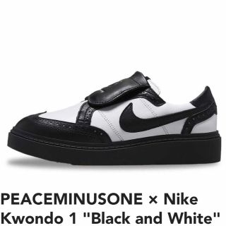 ピースマイナスワン(PEACEMINUSONE)のPEACEMINUSONE × Nike Kwondo(スニーカー)