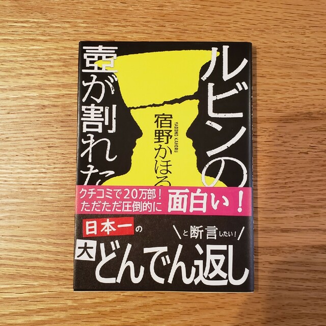 ルビンの壺が割れた エンタメ/ホビーの本(文学/小説)の商品写真