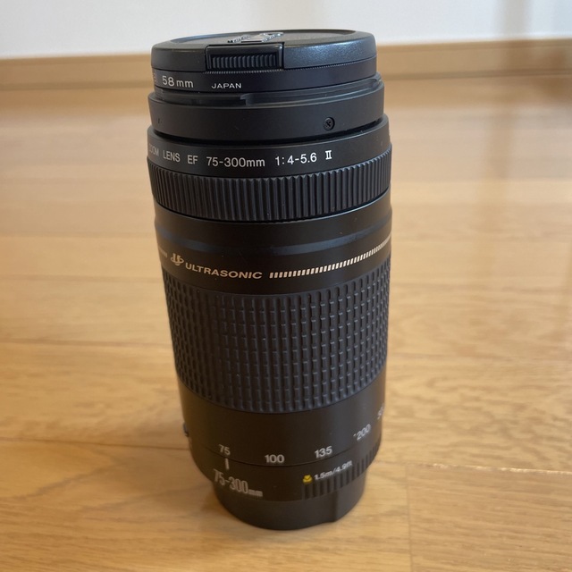 Canon EF75-300F4-5.6 2USM 1