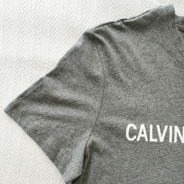 Calvin Klein(カルバンクライン)の【新品】カルバンクライン Calvin Klein メンズTシャツ M メンズのトップス(Tシャツ/カットソー(半袖/袖なし))の商品写真