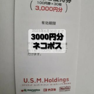 ユナイテッドスーパー　株主優待　3000円分(その他)