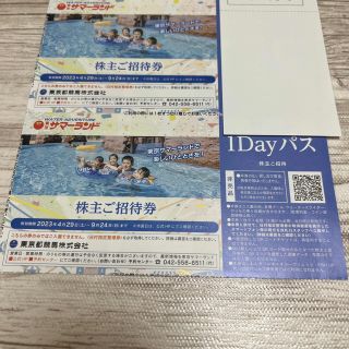 東京都競馬 株主優待 東京サマーランド1Dayパス2枚セット。7月8月も利用可(遊園地/テーマパーク)