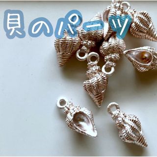 貝 巻き貝 チャーム パーツ シェル カン付き ハンドメイド ピアス等に　貝E(各種パーツ)