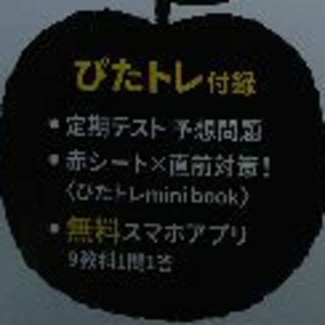 中学3年 国語 三省堂版 エンタメ/ホビーの本(語学/参考書)の商品写真