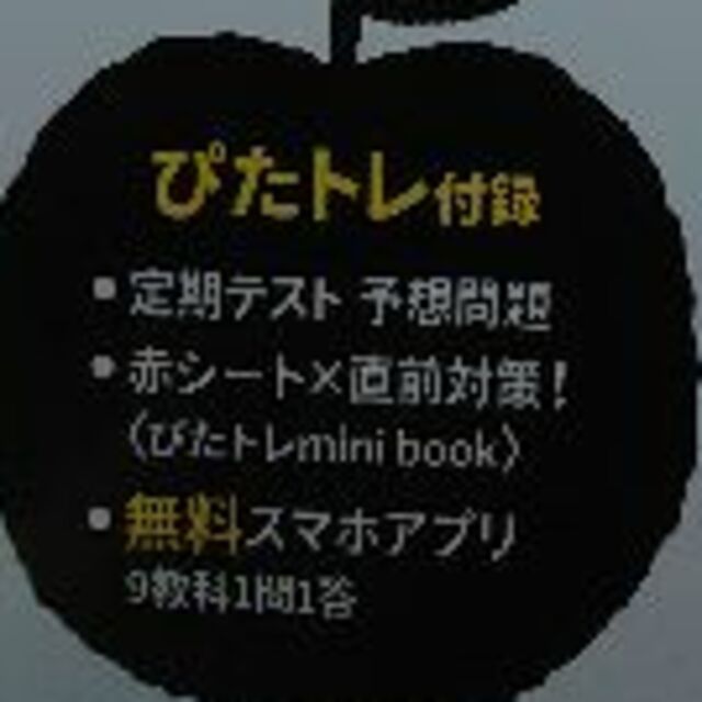 中学2年 国語 三省堂版 エンタメ/ホビーの本(語学/参考書)の商品写真