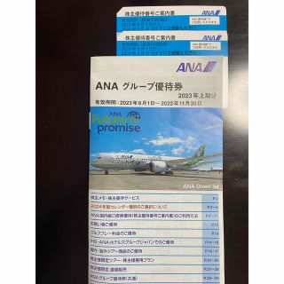 エーエヌエー(ゼンニッポンクウユ)(ANA(全日本空輸))のANA 株主優待２枚　優待券(航空券)