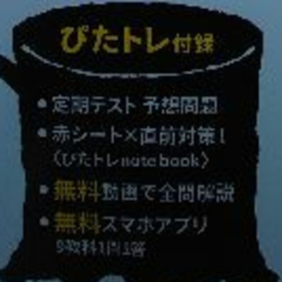 わおらっくさん専用　中学 地理 帝国書院版 エンタメ/ホビーの本(語学/参考書)の商品写真