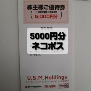 ユナイテッドスーパー　株主優待　5000円分(その他)