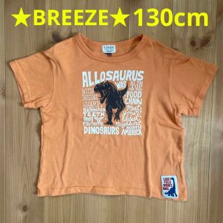 ブリーズ(BREEZE)のBREEZE 恐竜Tシャツ 130㎝(Tシャツ/カットソー)