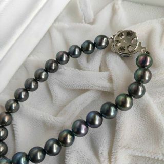 美品 ブラックパールネックレス あこや真珠 本真珠 6.の