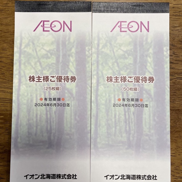 イオン北海道株式会社株主優待券10000円 100円券×100枚