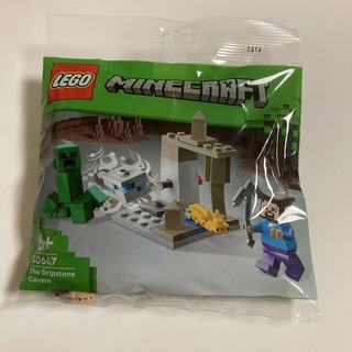 レゴ(Lego)のマイクラ　レゴ　30647(知育玩具)