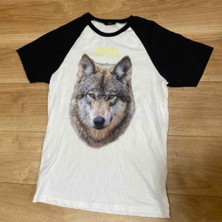 ヌメロヴェントゥーノ(N°21)のヌメロヴェントゥーノ　tシャツ 美品(Tシャツ/カットソー)