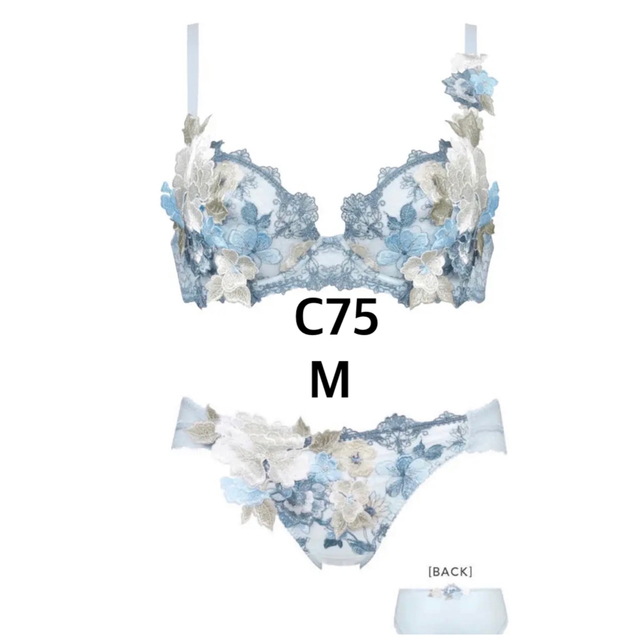 ☆新品 C75 M ワコール サルート 59G ブラ&ショーツ-