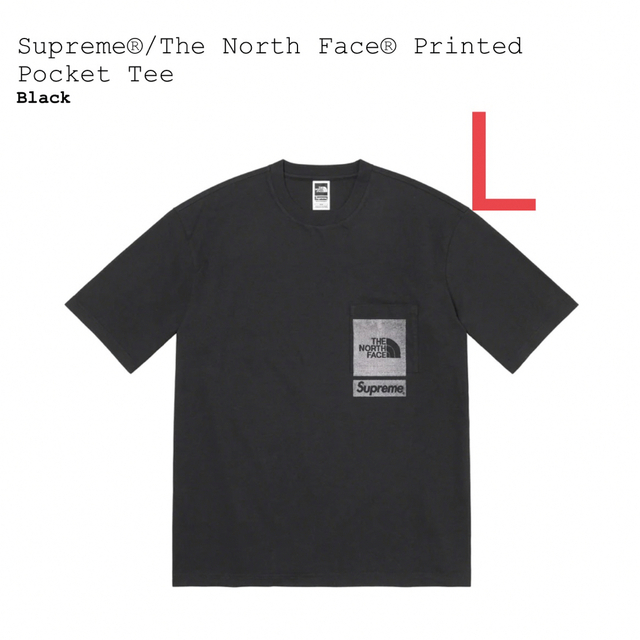 Supreme The North Face Printed PocketTeeシュプリーム