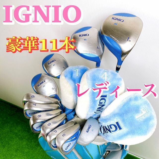 激安直営店 豪華11本!イグニオ L 初心者 優しい 女性 ゴルフクラブ