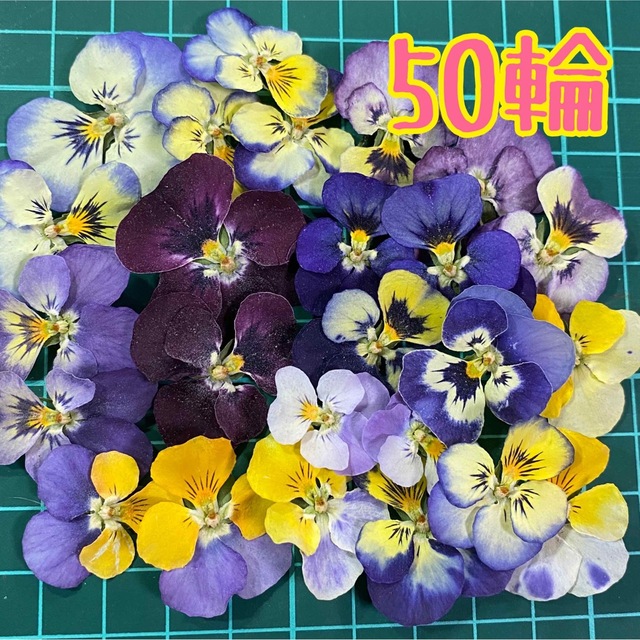 花材詰め合わせ50 通販