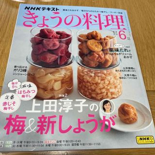 きょうの料理　2023／6月号(料理/グルメ)