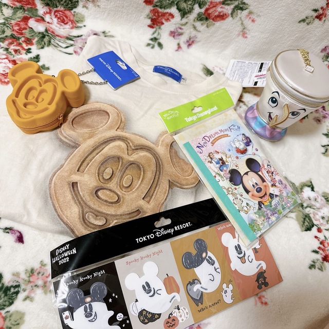 Disney(ディズニー)のディズニーリゾート　グッズセット エンタメ/ホビーのおもちゃ/ぬいぐるみ(キャラクターグッズ)の商品写真