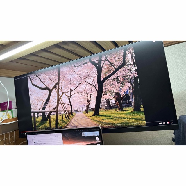 LG 34インチ 3440 x 1440 IPS 34WN750-B 専用 - ディスプレイ