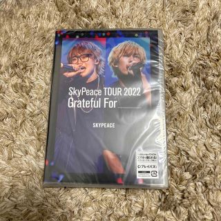 〈値下げしました！〉スカイピース DVD