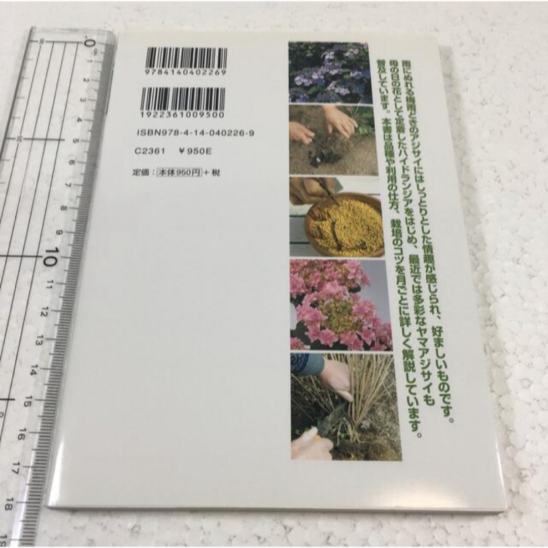 未読未使用品　アジサイ (NHK趣味の園芸 よくわかる栽培12か月) エンタメ/ホビーの本(住まい/暮らし/子育て)の商品写真