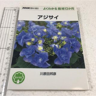 未読未使用品　アジサイ (NHK趣味の園芸 よくわかる栽培12か月)(住まい/暮らし/子育て)