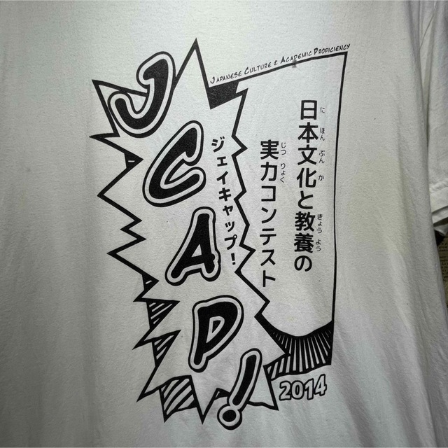 American Apparel(アメリカンアパレル)のAmerican Apparel アメリカンアパレル Tシャツ size L メンズのトップス(Tシャツ/カットソー(半袖/袖なし))の商品写真