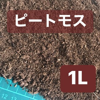 ピートモス 1L 土壌改良材 ガーデニング　アクアリウム　ブルーベリー(その他)