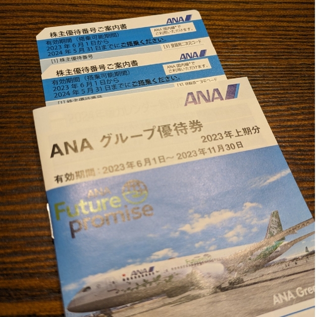 ANA(全日本空輸)(エーエヌエー(ゼンニッポンクウユ))の【送料込】ANA株主優待券2枚＋グループ優待券 チケットの乗車券/交通券(航空券)の商品写真