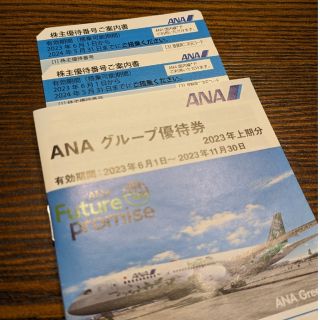 エーエヌエー(ゼンニッポンクウユ)(ANA(全日本空輸))の【送料込】ANA株主優待券2枚＋グループ優待券(航空券)