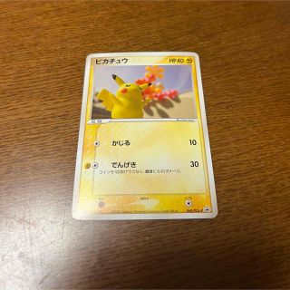 ポケモン(ポケモン)のポケモンカード　meiji ピカチュウ　【早い者勝ち】(シングルカード)