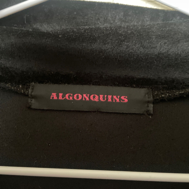 ALGONQUINS(アルゴンキン)のアルゴンキン 薄手 ベロア生地 レディースのトップス(パーカー)の商品写真