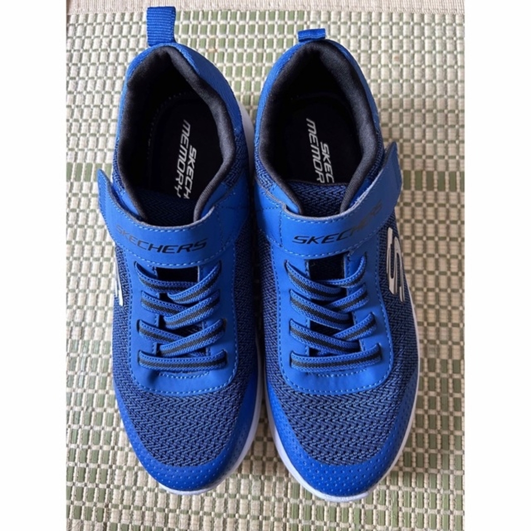 SKECHERS(スケッチャーズ)の22.5 新品　sketchers スニーカー キッズ/ベビー/マタニティのキッズ靴/シューズ(15cm~)(スニーカー)の商品写真