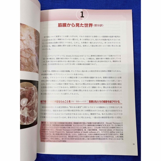 ⑧アナトミー・トレイン 徒手運動療法のための筋筋膜経線 ⑧アナトミー・トレイン 徒手運動療法のための筋筋膜経線