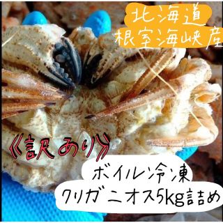 《訳あり》ボイル冷凍クリガニオス5kg詰め(魚介)