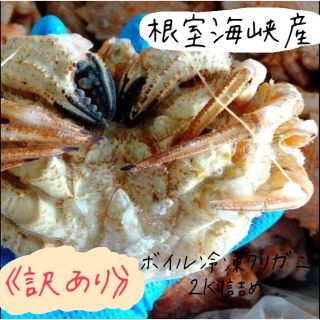 《訳あり》漁師直送！ボイル冷凍クリガニオス2㎏詰め(魚介)