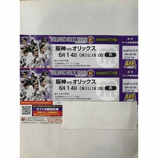 ハンシンタイガース(阪神タイガース)の甲子園6月14日阪神vsオリックス ライトスタンドペアチケット(野球)