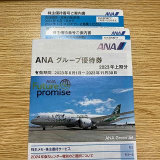 エーエヌエー(ゼンニッポンクウユ)(ANA(全日本空輸))のANA株主優待2枚＋グループ優待冊子(その他)